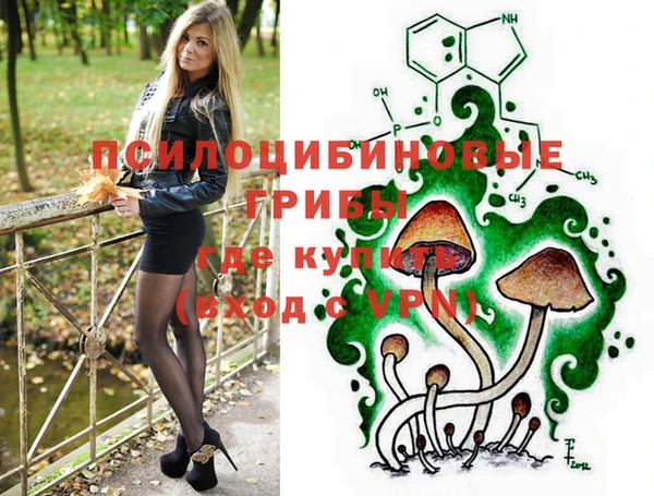 МДПВ Няндома