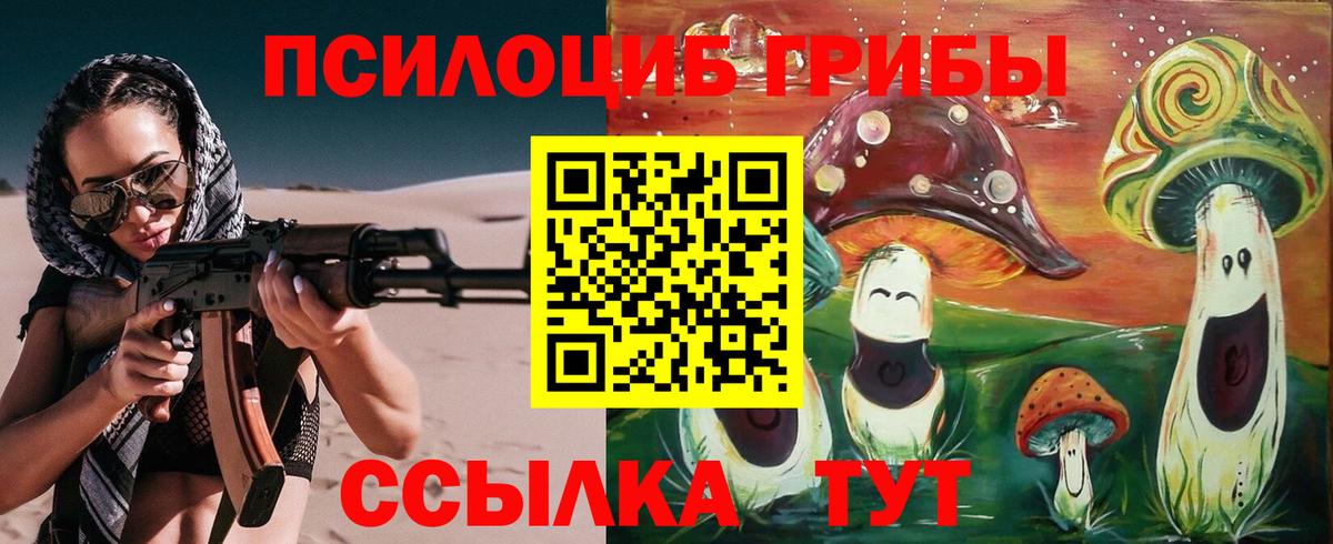 Псилоцибиновые грибы Psilocybine cubensis Советская Гавань