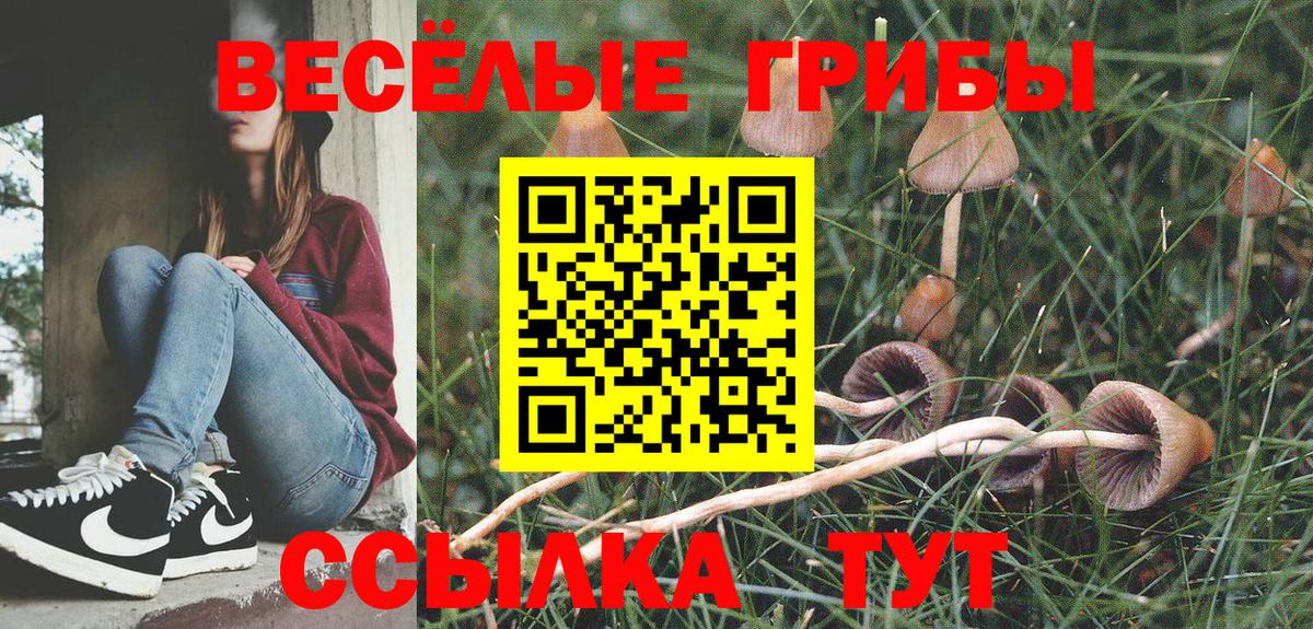 ГЕРОИН Советская Гавань